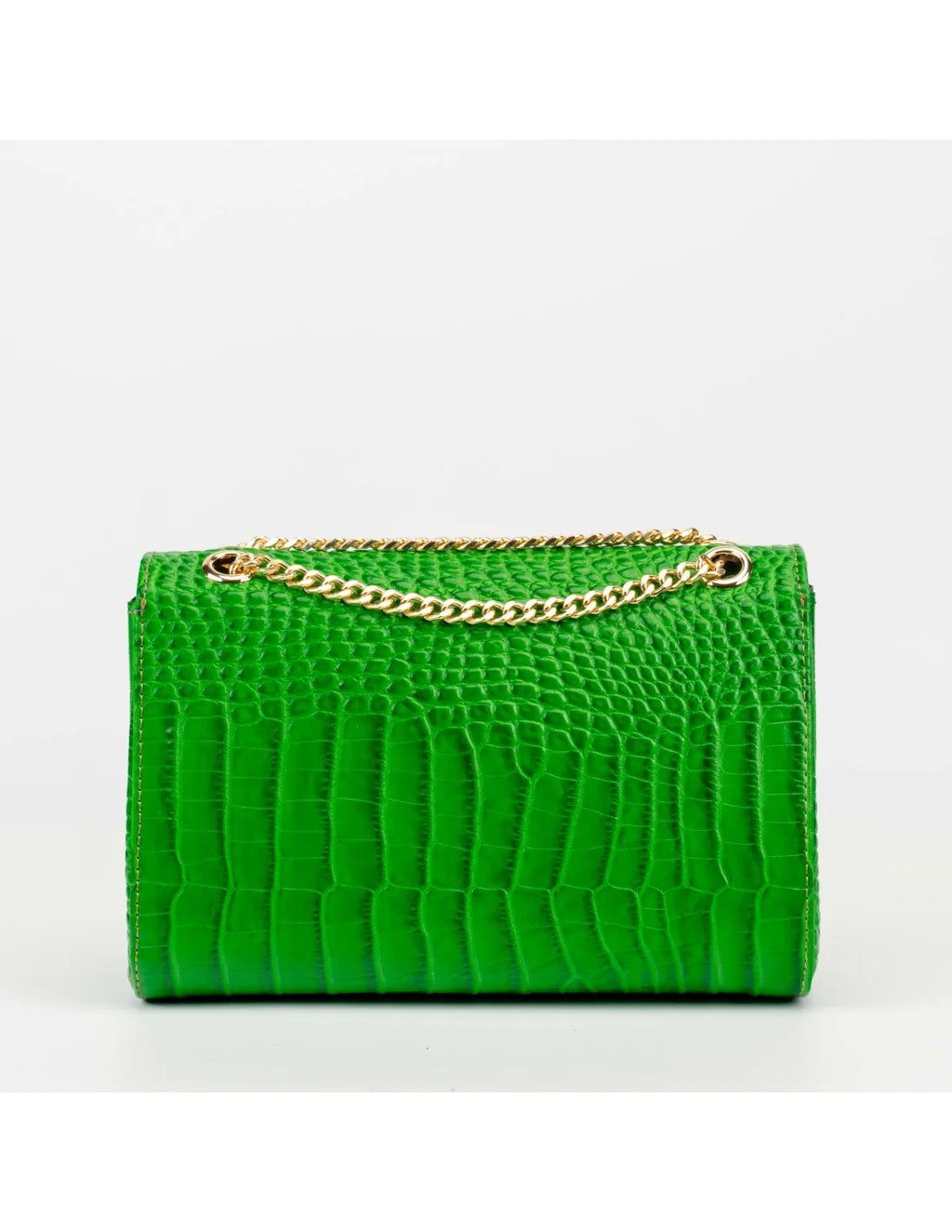 Geanta din piele naturala pentru dama LOULOU, verde deschis croco